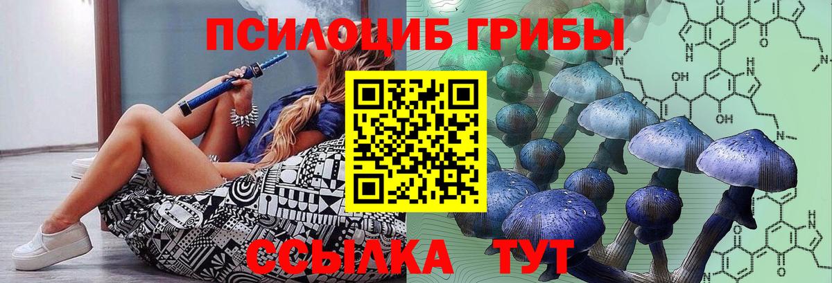 Балахна  Псилоцибиновые грибы Psilocybine cubensis  Вход с VPN 